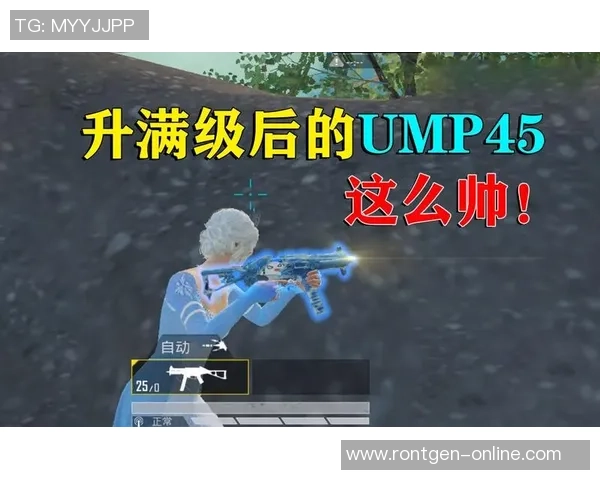 和平精英战队LNG的战术灵活性分析与未来发展展望